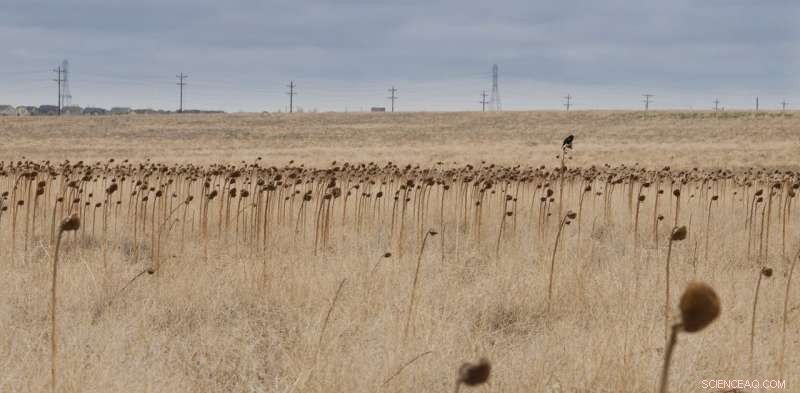 Could Canada Experience a Water Crisis Like Cape Town?
