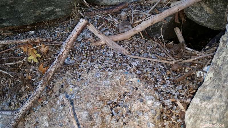 Plastics Industry Releases Massive Microplastics into Oceans