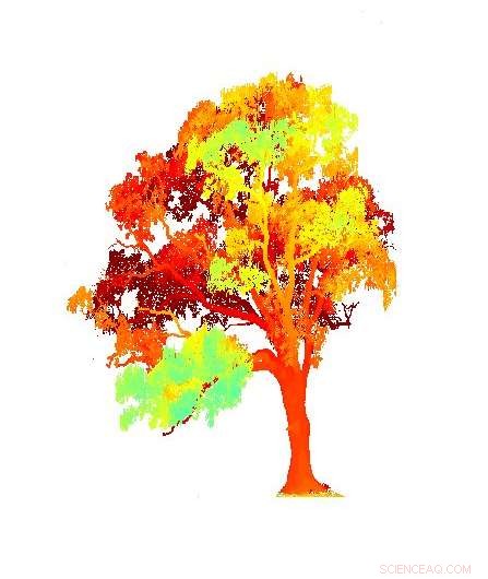 Revolutionary Laser Scanning Enhances Forest Mapping Precision