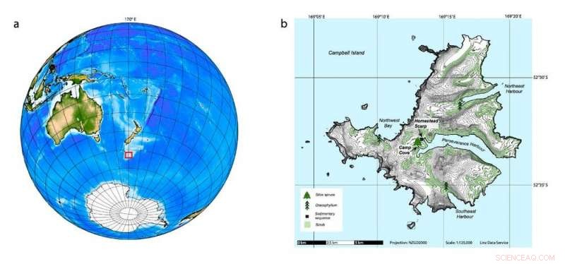 Evidence from the World’s Loneliest Tree Indicates 1965 as the Anthropocene’s Beginning