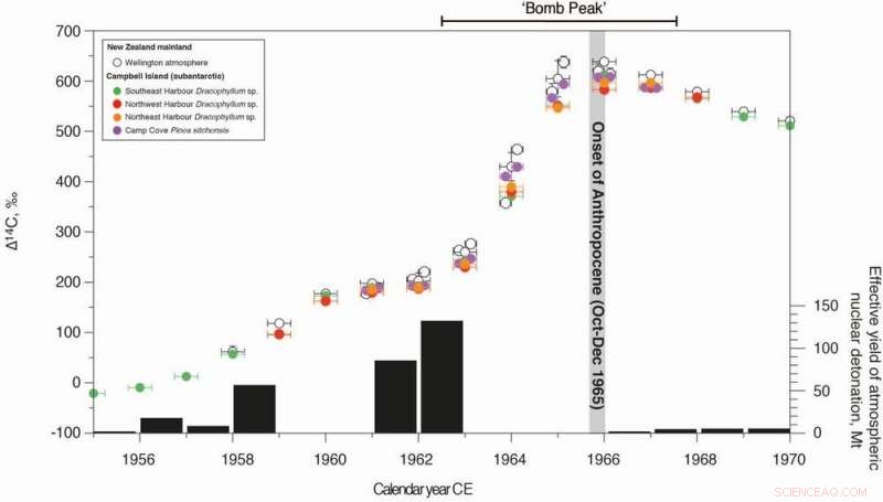 Evidence from the World’s Loneliest Tree Indicates 1965 as the Anthropocene’s Beginning