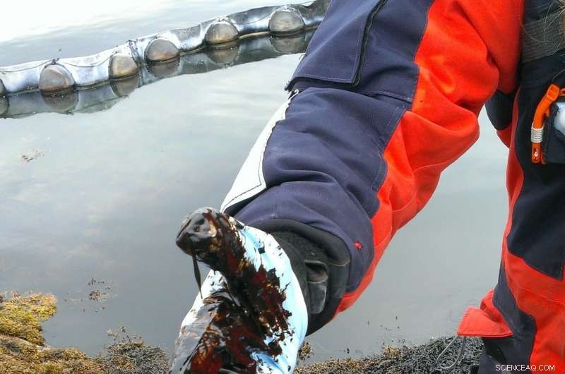 Arctic Microbes Face Tough Challenges Degrading Oil Spills