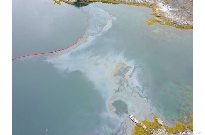 Arctic Microbes Face Tough Challenges Degrading Oil Spills