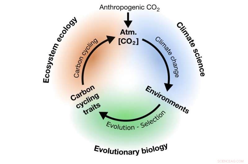 Climate Change, Evolution, and the Power of Friendships in Research
