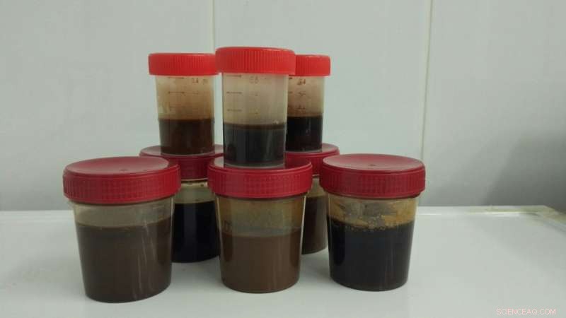 Eco-Friendly Super-Fertilizer Boosts Grain Crop Yields Significantly