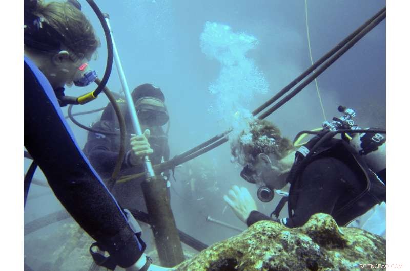 New Study Reveals Unexpected Ocean Warming Near Galapagos Corals