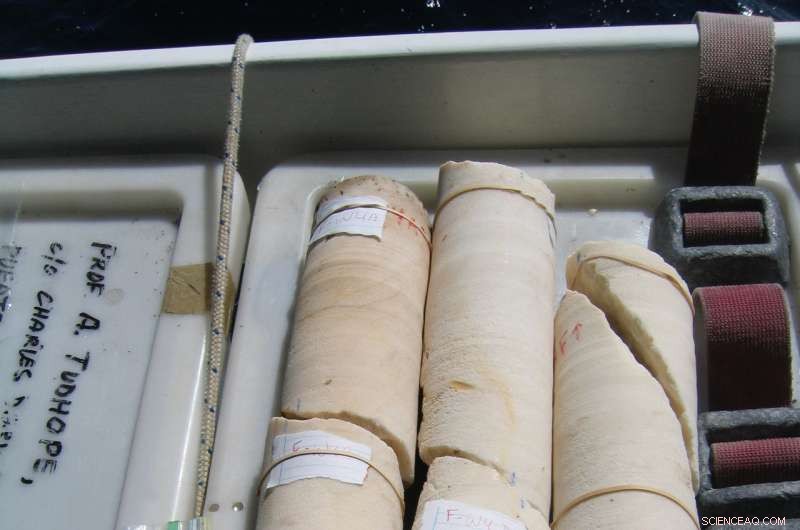 New Study Reveals Unexpected Ocean Warming Near Galapagos Corals