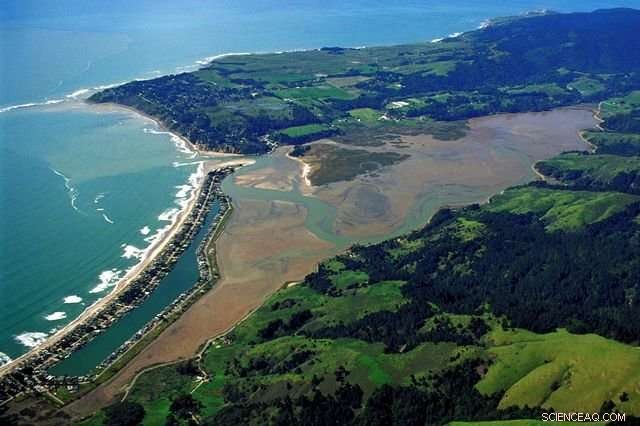 Rising Sea Levels Threaten Pacific Salt Marshes: New Study Highlights Extinction Risk