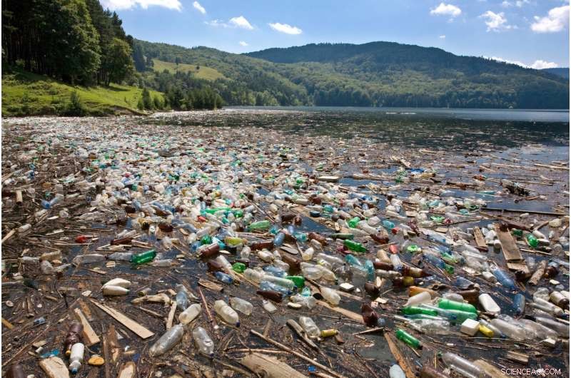 Unraveling the Plastic Crisis: How Everyday Litter Threatens Our Planet