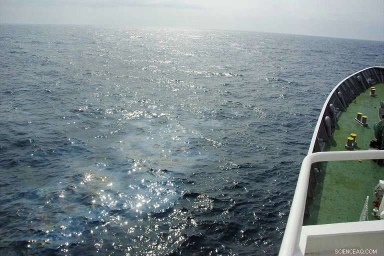 Japan Confirms Oil from Sank Iranian Tanker Contaminates Southern Islands