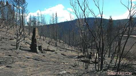 Geology Experts Investigate Wildfire Dynamics and Impact