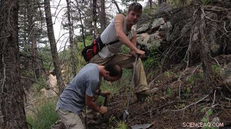 Geology Experts Investigate Wildfire Dynamics and Impact