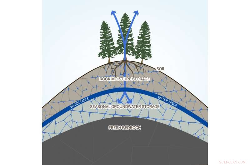 Weathered Bedrock Moisture Revealed as Crucial to Forest Drought Resilience