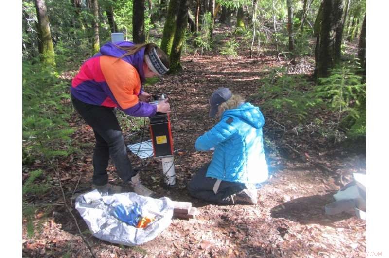 Weathered Bedrock Moisture Revealed as Crucial to Forest Drought Resilience