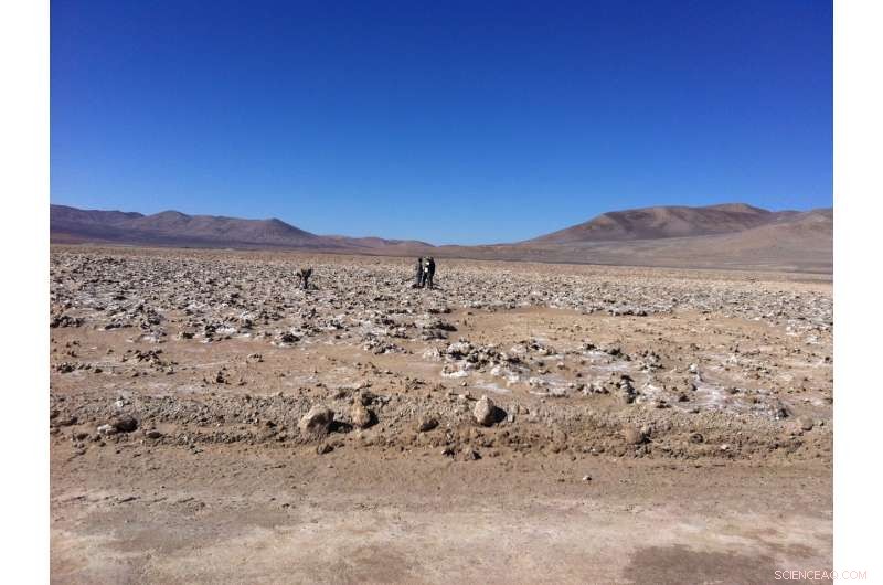 Life Resurrects in Earth s Driest Desert, Hinting at Possible Martian Life