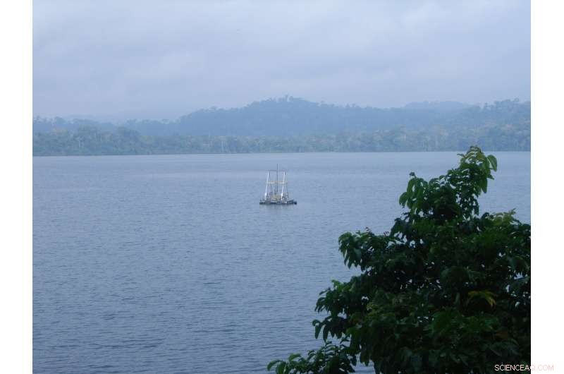 How Early Human Activities Altered Central Africa s Ecosystems 2,600 Years Ago