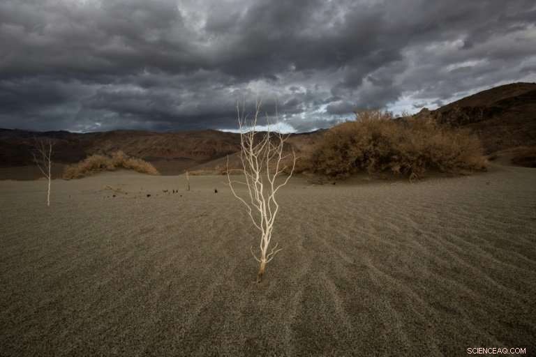 WWF Chief Stresses Corporations Are Essential to Nature Conservation