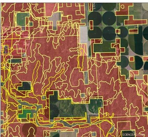 Harnessing Plant‑Derived Biofuels to Tackle Global Warming