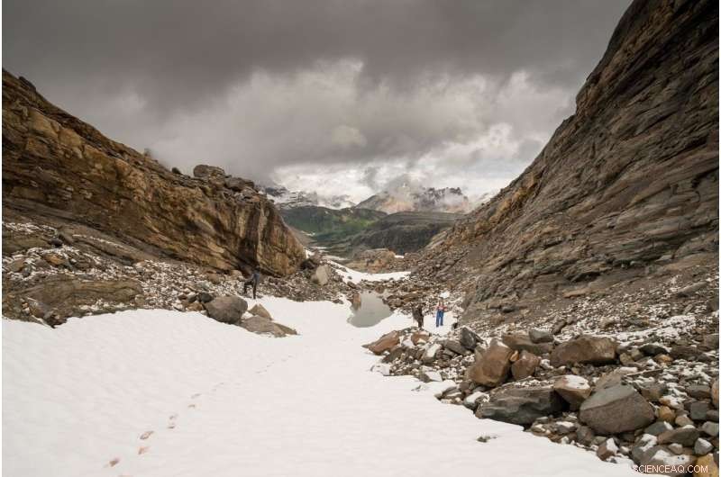 Princeton Geologists Decode Fossil Mystery Using 3‑D Virtual Rock Tour