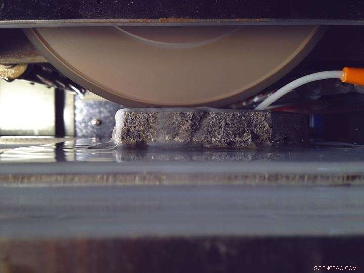 Princeton Geologists Decode Fossil Mystery Using 3‑D Virtual Rock Tour