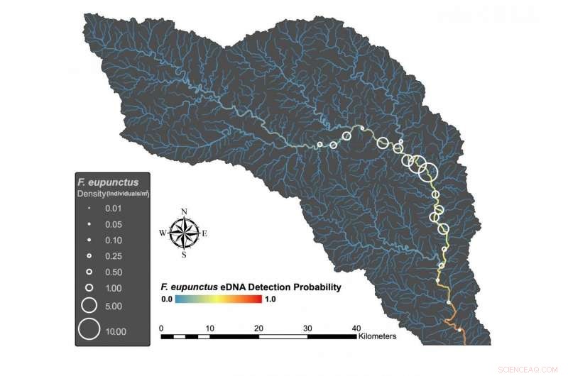 Scientists Hunt for Rare River Crayfish, Using Advanced Techniques