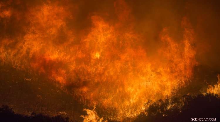 Wildfire Threats Set to Intensify in the Decades Ahead