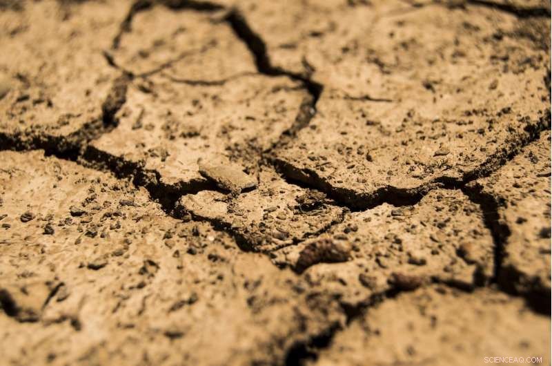 Soil Can t Stop Climate Change: Why Carbon Sequestration Fails