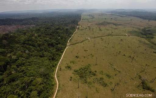 Brazil Court Upholds Law Amid Concerns Over Amazon Deforestation