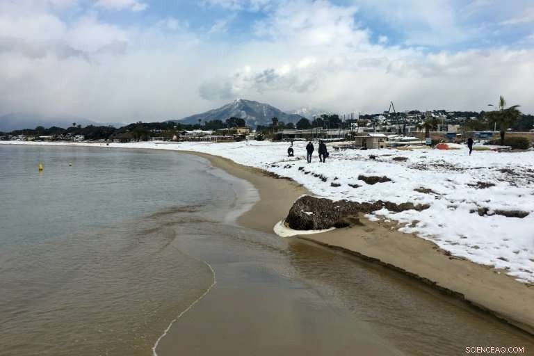 Europe Shivers, Arctic Warms: A Climate Paradox