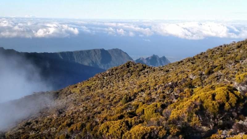 Modern Volcanism Linked to Events Shortly After Earth s Formation