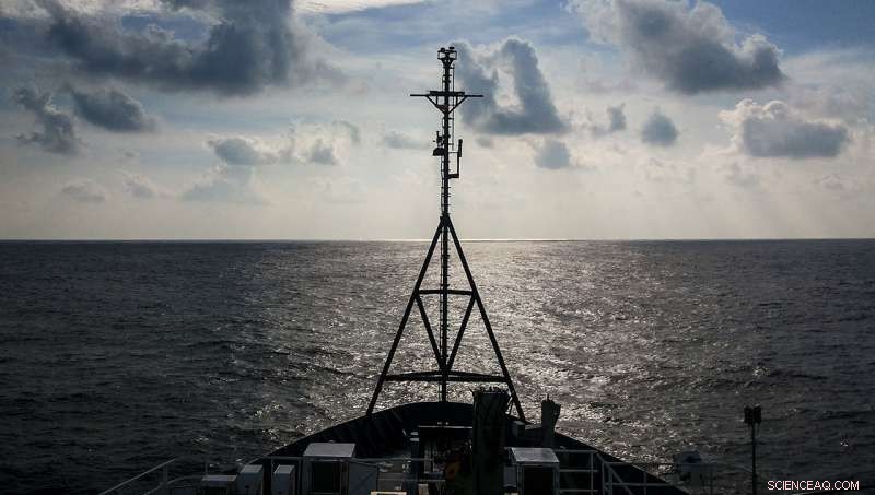 Monsoon Runoff Forms Surface Tendrils, Cutting Off Nutrient Flow