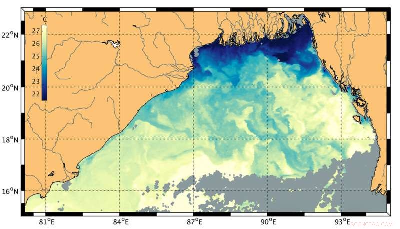 Monsoon Runoff Forms Surface Tendrils, Cutting Off Nutrient Flow