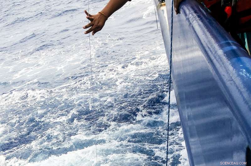 Monsoon Runoff Forms Surface Tendrils, Cutting Off Nutrient Flow