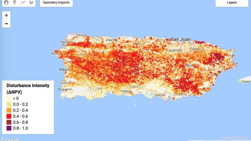 Assessing Hurricane Impacts on Puerto Rico’s Forests: A Comprehensive Study