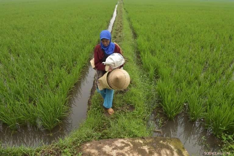 Indonesia Launches Ambitious Campaign to Clean the Citarum River, the World s Most Polluted Waterway