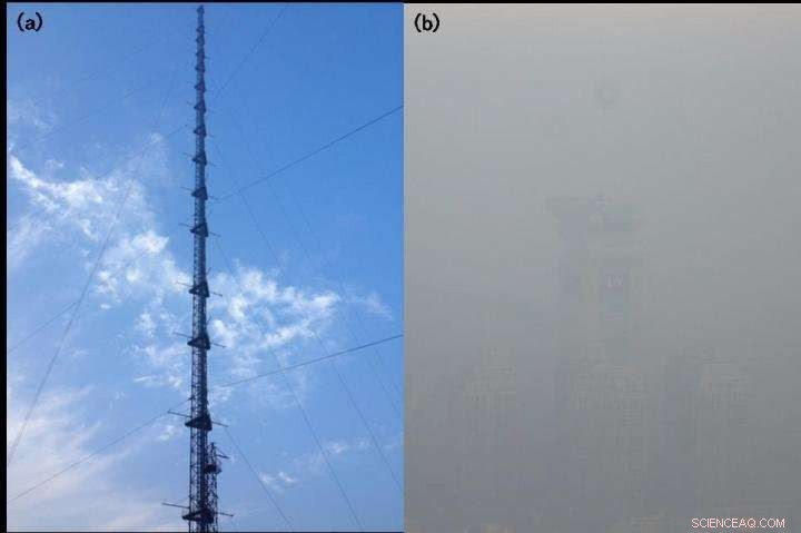 Comprehensive Vertical Profiling of Urban Air Pollutants in Beijing