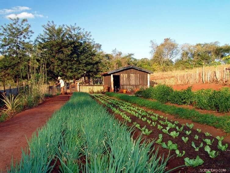 Reducing Poverty Through Nature Connection: Proven Strategies