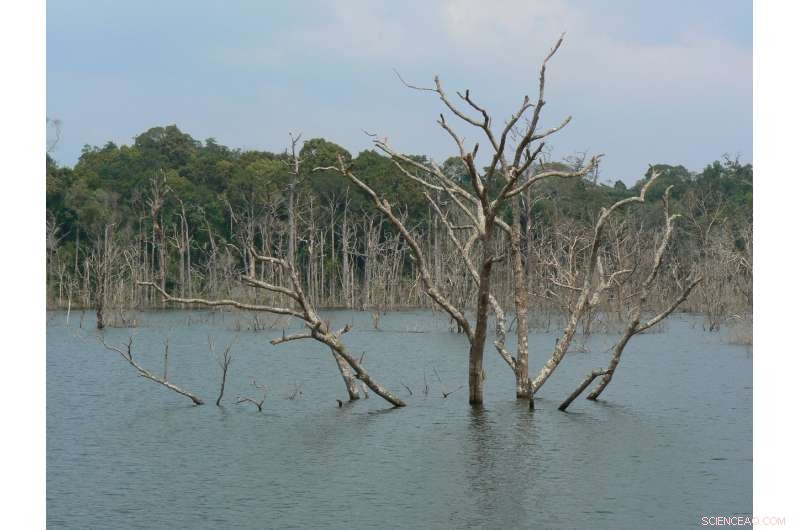 Mekong Hydropower Emissions May Exceed Fossil Fuel Sources: A Critical Review