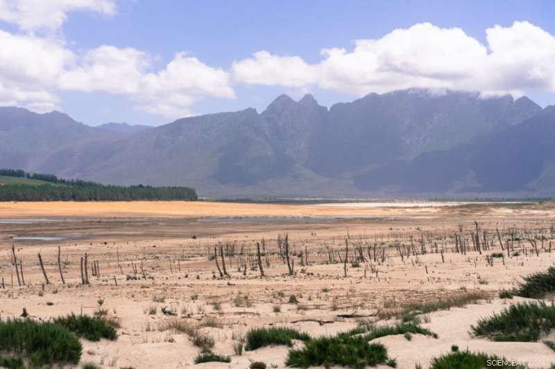How Cape Town’s Water Crisis Could Spark City-Wide Conservation Efforts