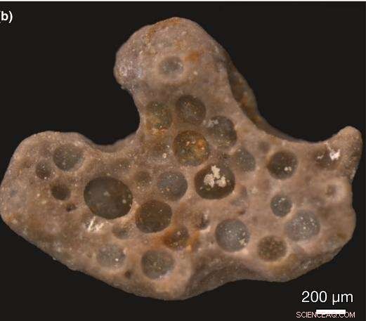 Fossilized Oxygen Bubbles from 1.6 Billion Years Ago Reveal Ancient Microbial Life