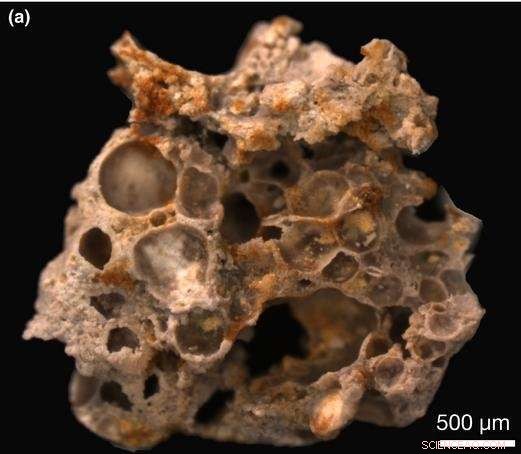 Fossilized Oxygen Bubbles from 1.6 Billion Years Ago Reveal Ancient Microbial Life