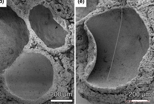 Fossilized Oxygen Bubbles from 1.6 Billion Years Ago Reveal Ancient Microbial Life