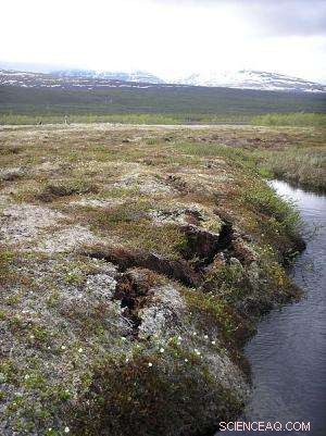 Permafrost Thaw Drives Browning of Northern Lakes