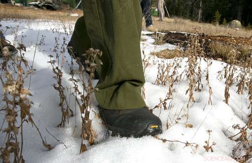 Fresh Snow Delays California’s Drought Crisis