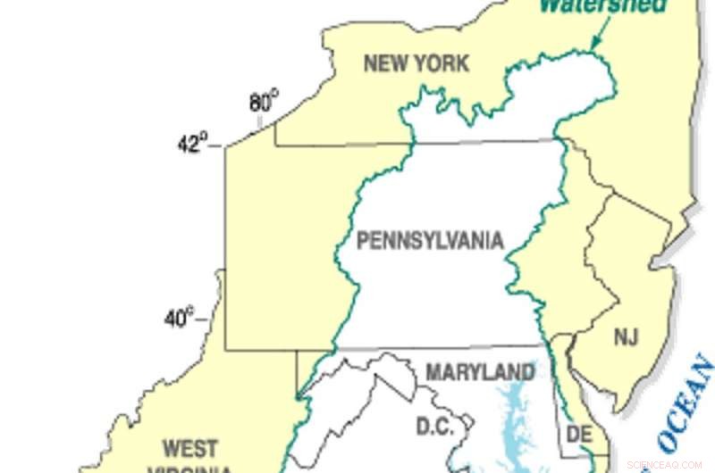 Reducing Chesapeake Bay Pollution Revives Underwater Grasses