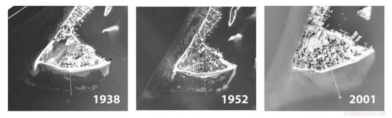 Reducing Chesapeake Bay Pollution Revives Underwater Grasses