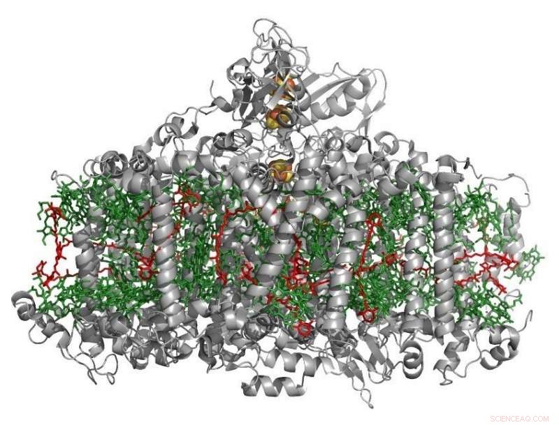 New Study Reveals Photosynthesis Began 1 Billion Years Earlier Than Previously Believed
