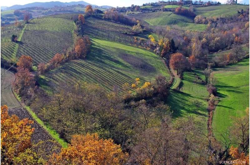 How Ancient Farming Techniques Can Mitigate Climate Change