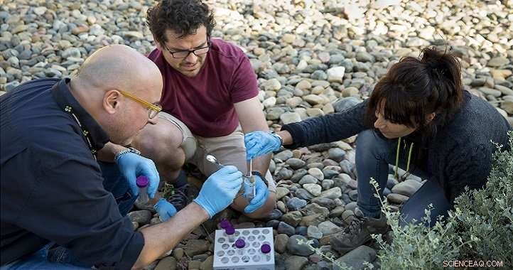 Glaciers Offer Key Insights for Combating Desertification