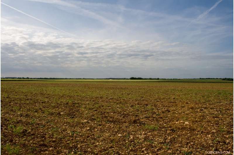 Resolving the Global Tension Between Agriculture and Biodiversity